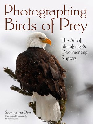 cover image of Photographing Birds of Prey